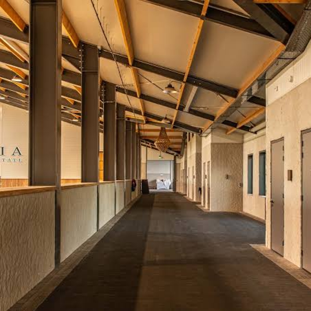 Stalgang met paardenboxen bij Utopia Equestrian Estate